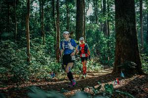 BIB: 
                            <button type="button" onclick="openModal(26132434)" class="btn btn-primary btn-sm float-right btn-popup" data-toggle="modal" data-target=".modal-high-quality">
                        <i class="fas fa-shopping-cart"></i> Add to Cart
                    </button>
                                            <button type="button" onclick="isThisMe(26132434, true)" class="btn btn-success btn-sm float-right btn-popup btn-isme hidden" data-toggle="tooltip" data-placement="bottom" title="นี่คือรูปของคุณใช่ไหม คลิกที่นี่เพื่อเอาเข้าอัลบั้ม">
                        <i class="fas fa-plus"></i> Add to album
                    </button>
                    <button type="button" onclick="isThisMe(26132434, false)" class="btn btn-warning btn-sm float-right btn-popup btn-isnotme hidden">
                        <i class="fas fa-ban"></i> Remove from album
                    </button>